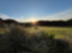 Yucca Sunrise.jpg