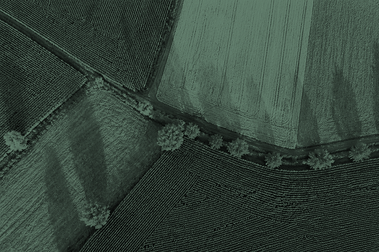 Feld_landscape_lowRes_green.png