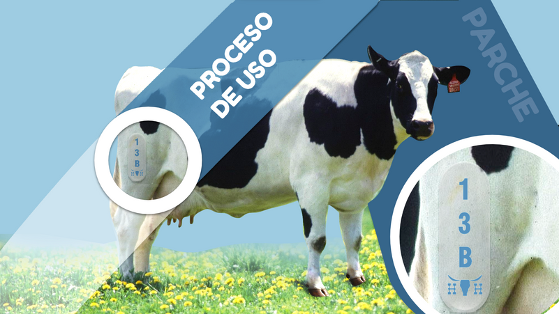 IMAGEN APLICACION DE TAP.png