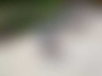 Finding the Mathematical Gold in the Olympics