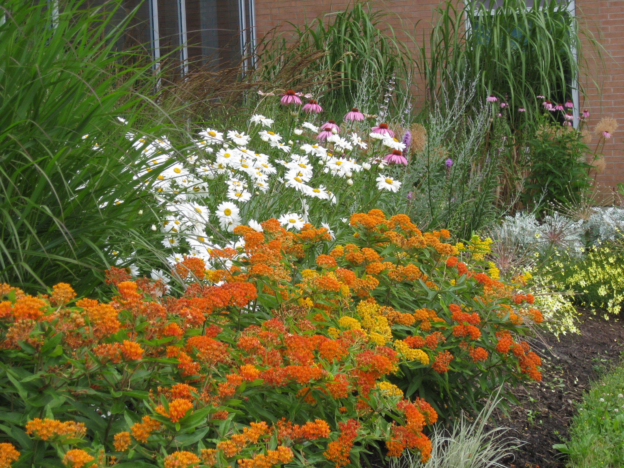 The Friendship Gardens Headwaters Health Care Orangeville