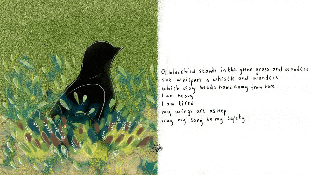 blackbird one.gif