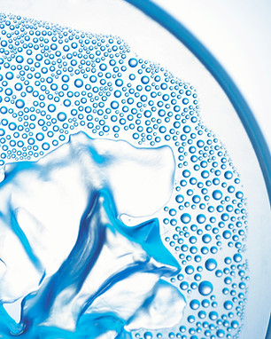Closeup of a Petri Dish