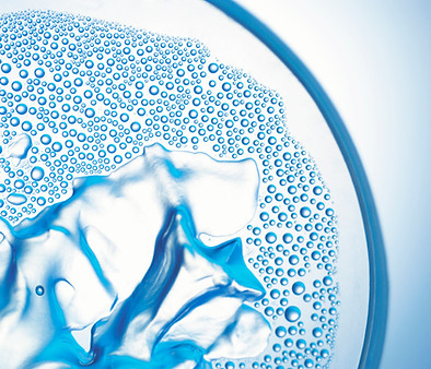 Closeup of a Petri Dish