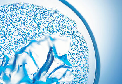 Closeup of a Petri Dish
