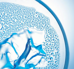Closeup of a Petri Dish