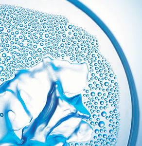 Closeup of a Petri Dish