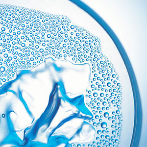 Closeup of a Petri Dish