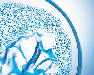 Closeup of a Petri Dish