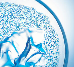 Nahaufnahme einer Petrischale