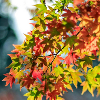 A Call to Lead Differently