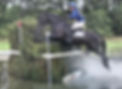 IMG_6874.jpeg