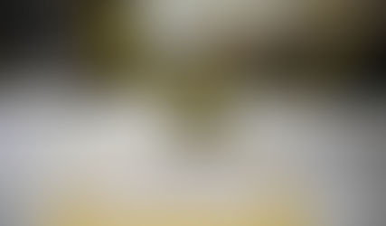 Risultato nazionale non segue le aspettative. In Veneto segnali positivi