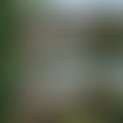 The Best Roof Cleaning Practices for the Omaha Environment