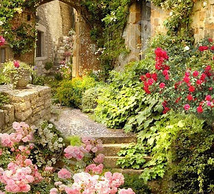 Старинные Улочки.jpeg