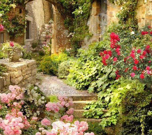 Старинные Улочки.jpeg