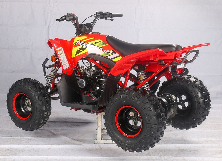 Thumbnail: SuperSport 125cc Racer