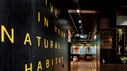 panthera web site-7 copy