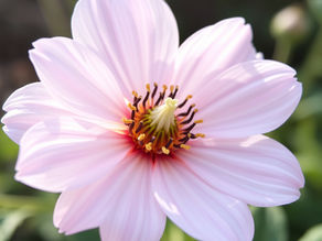 Gifts of the Holy Spirit: Wisdom