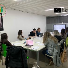 The focus groups of the EmpowerAbility project have been launched!