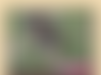 Whisper: Book one by Alison Bellringer