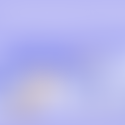 D2C eCommerce Trends for Diwali Festive Season