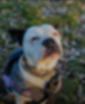 tempFileForShare_20250227-130618.jpg