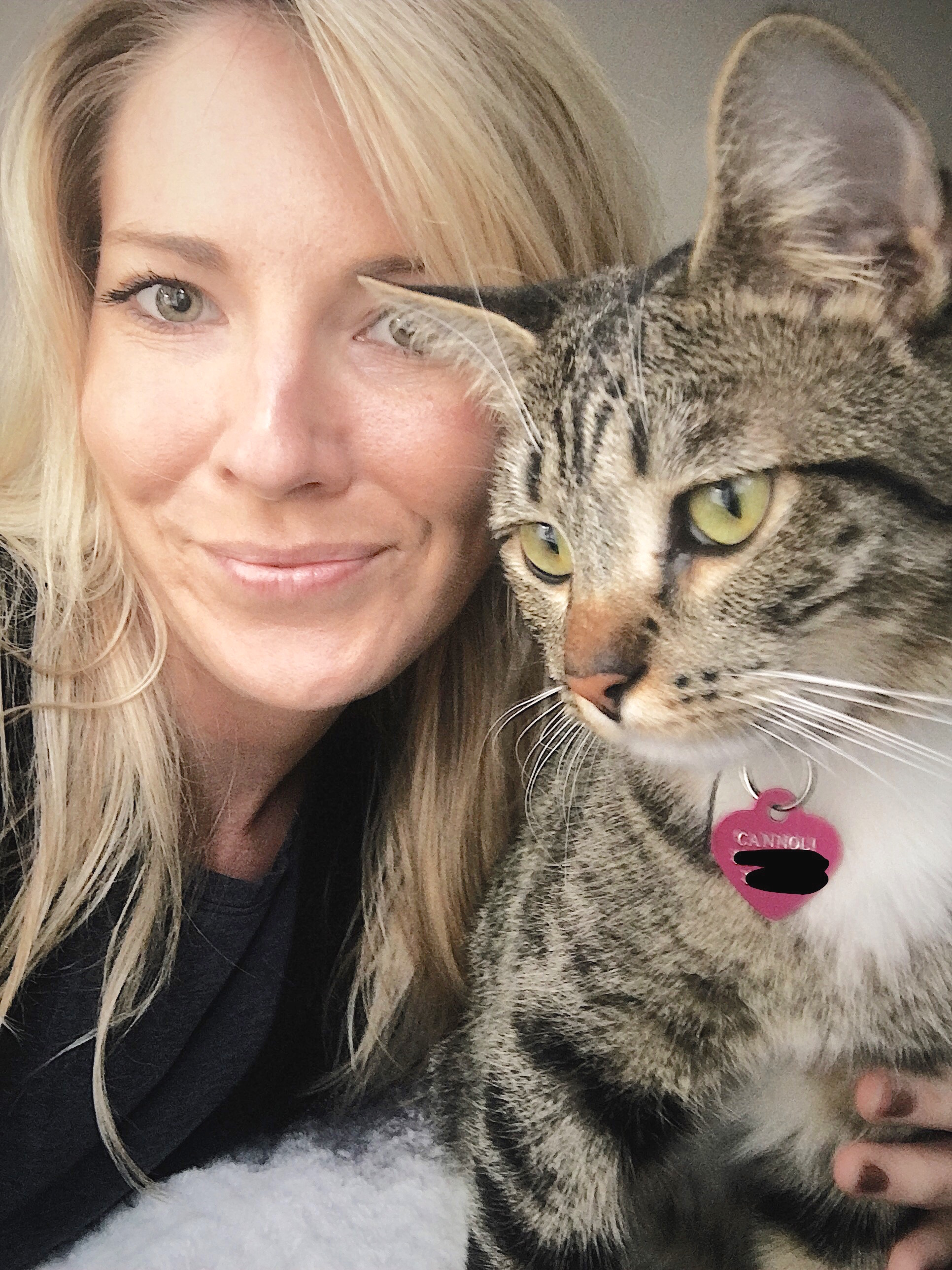 lost cat California pet detective