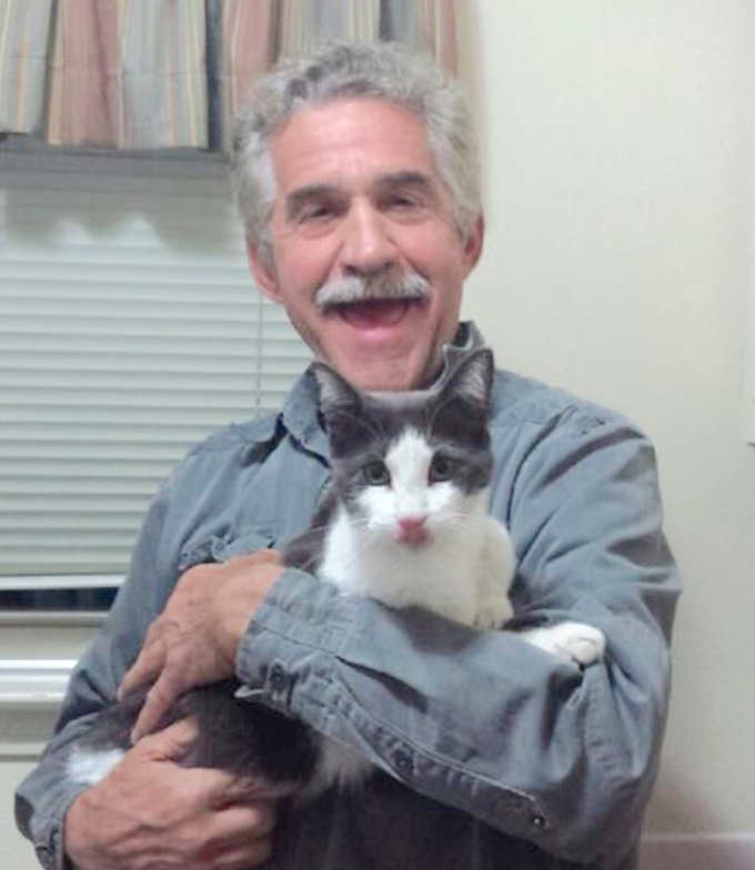 Cat lost 18 days found in Dallas