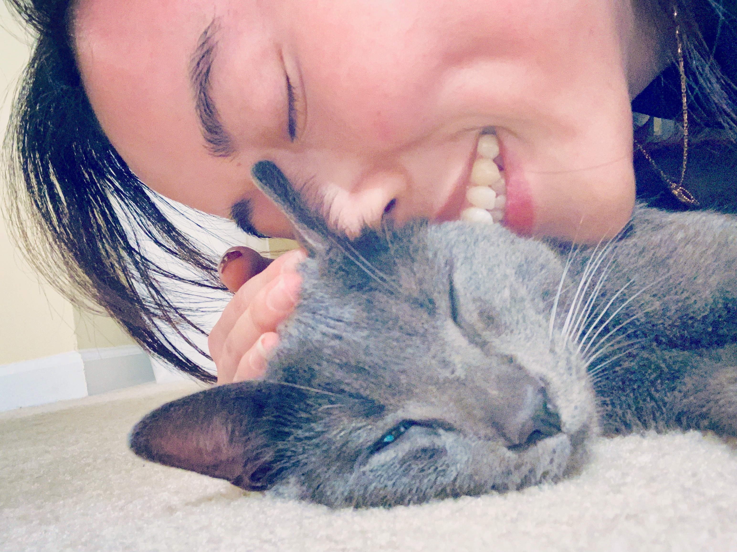Cat found in drain pipe tunnel rescued