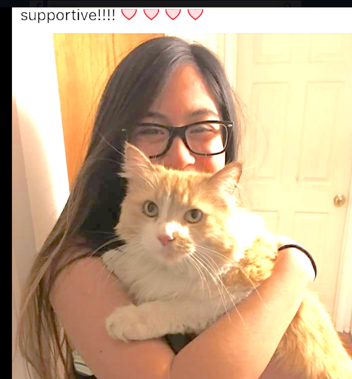 cat lost 56 days found in Arizona