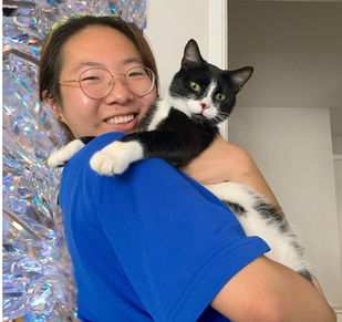 Cat lost 12 days after escaping harness - yet we found him!