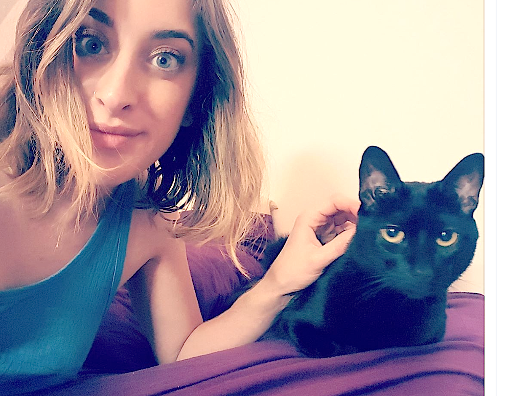 Lost cat found in Nebraska