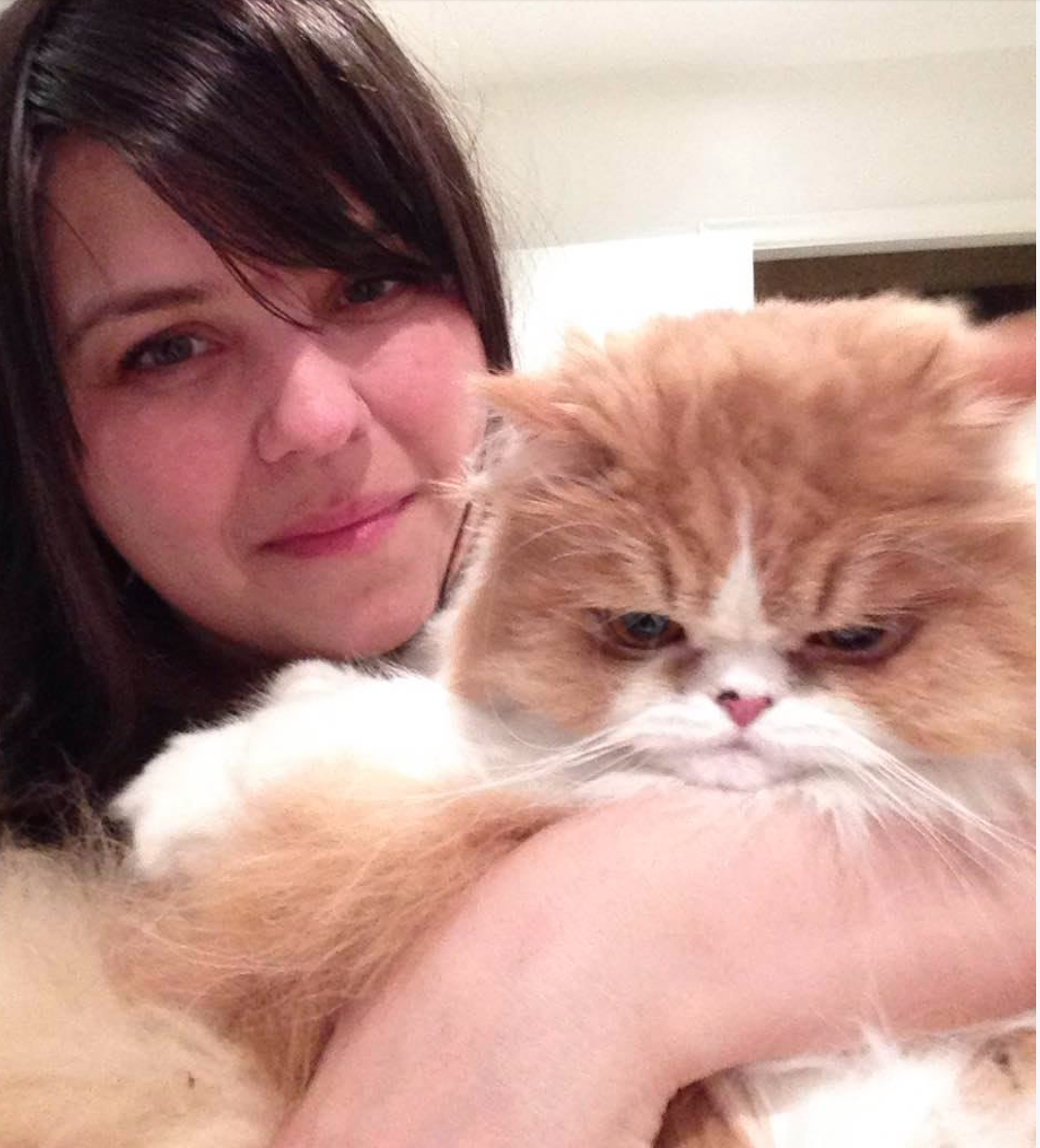 Toronto lost kitty is home!