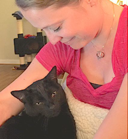 Chapel Hill, NC cat found.