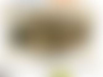 Indoor cat escapes in California, found with coaching from a Cat Detective in Georgia.