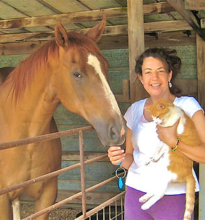 pet detective wth horse and cat