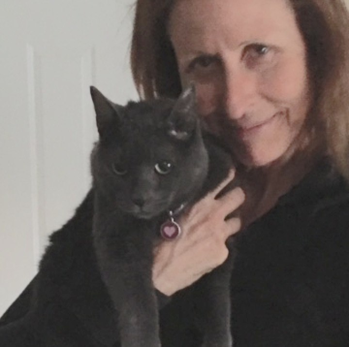 lost cat finder book tips