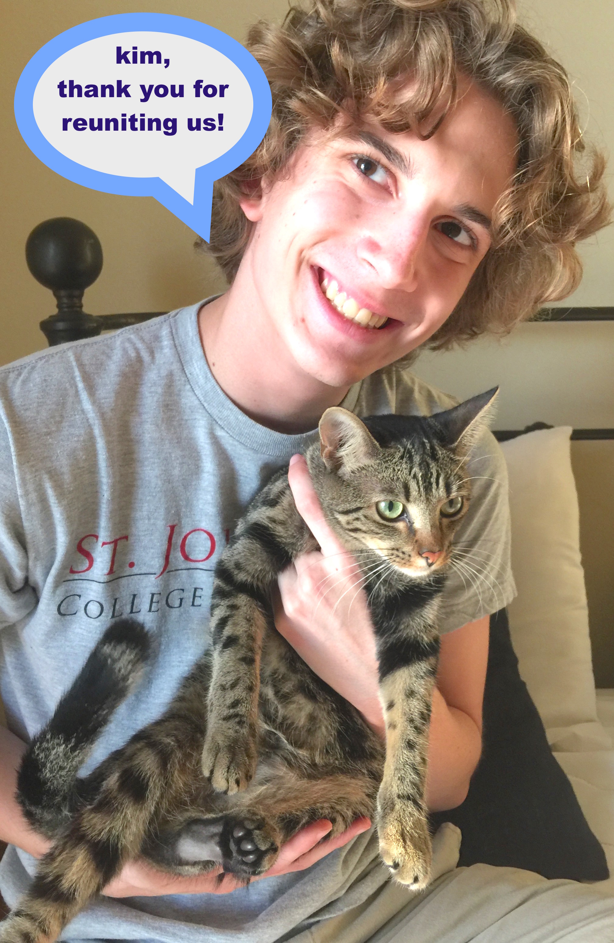 Lost Cat Found France