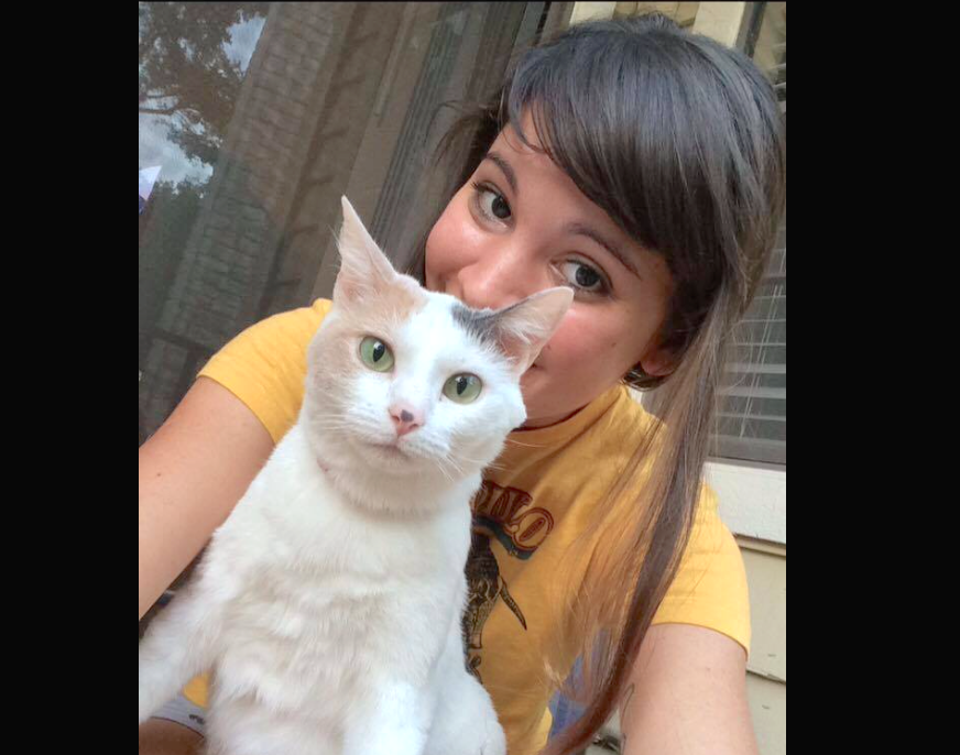 Lost Cat found Tracy Lara Paula Deen