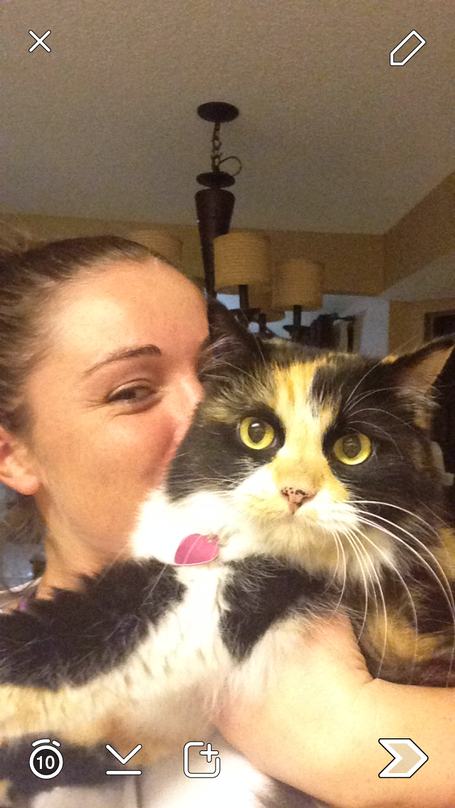 Missing cat stuck in garage.
