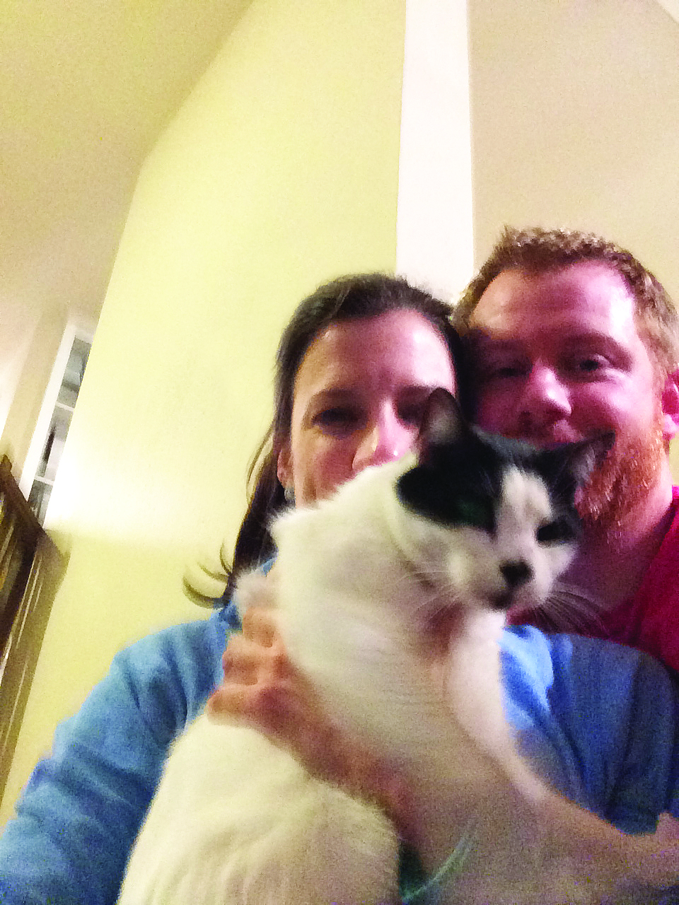 Lost Cat found Pede is home!