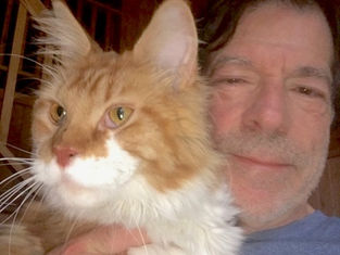 Lost Indoor cat escaped a mountain cabin in a rainstorm...FOUND on day 16 of the search.