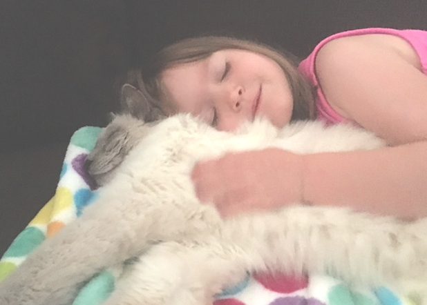 Lost cat found bend Oregon 30 days misisng