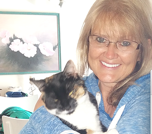 Lost cat found RV park fireworks