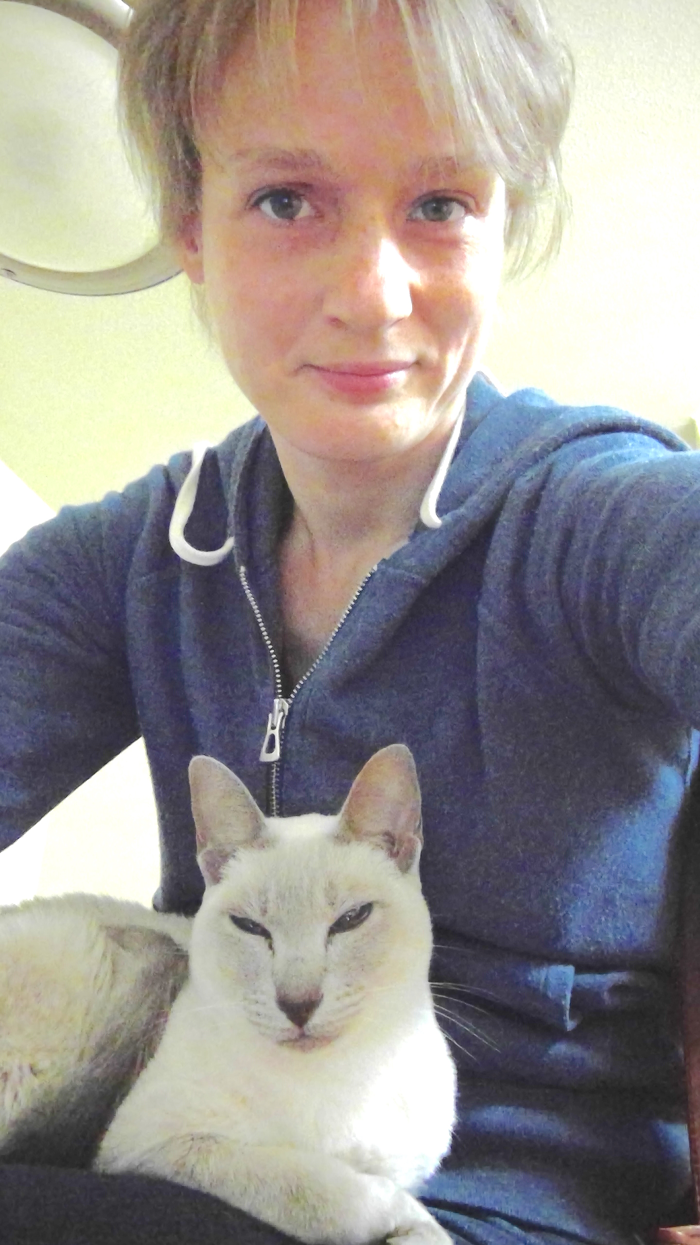 Chapel Hill lost cat found