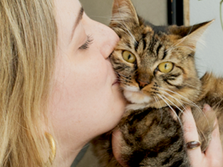 Finding an escaped indoor cat during Quarantine in Brooklyn NY.