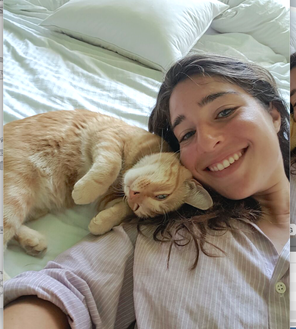 Lost cat found. Texas pet detective