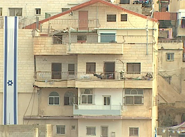 Deaf cat in Israel fell off balcony recover