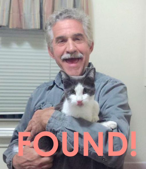Pet detective holding a found cat with tips for owners.